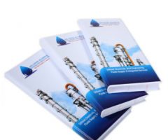 Professional Wholesale Brochure / Folder / Flyer Printing