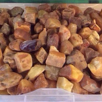 Raw Baltic amber for sale 10-20, 20-50