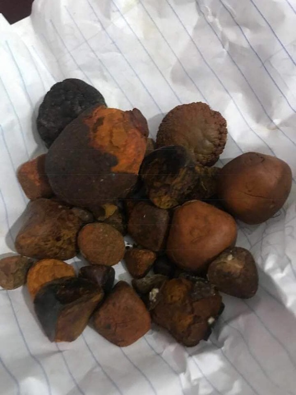 Cow gallstones for sale at affordable Prices