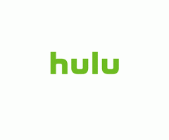 Hulu +Subscriptions